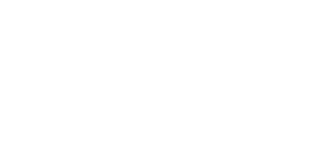 The Dental Lab