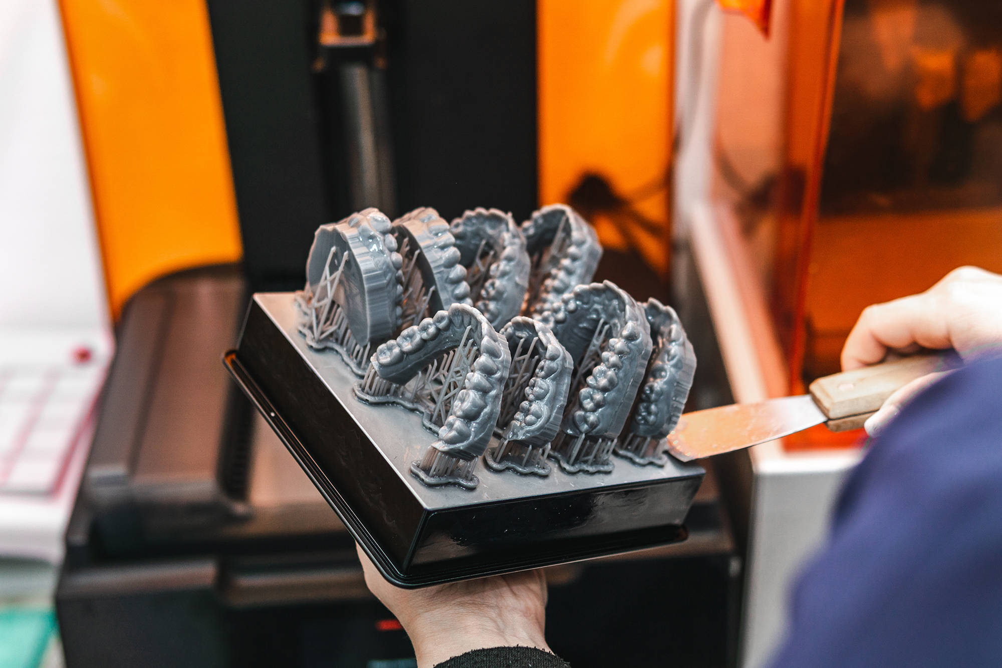 Dental technician removing jaw models from a 3d printer in the laboratory. Model for dental prostheses