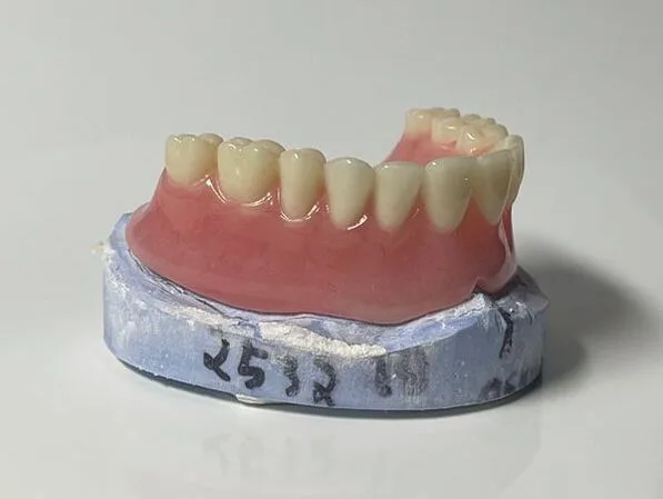 Dentures model