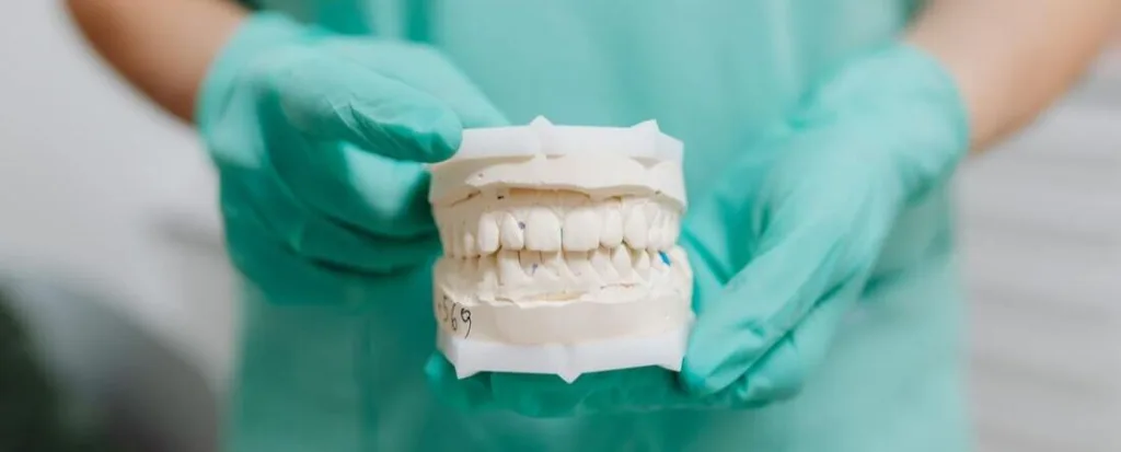 Model of teeth held by dental assistant
