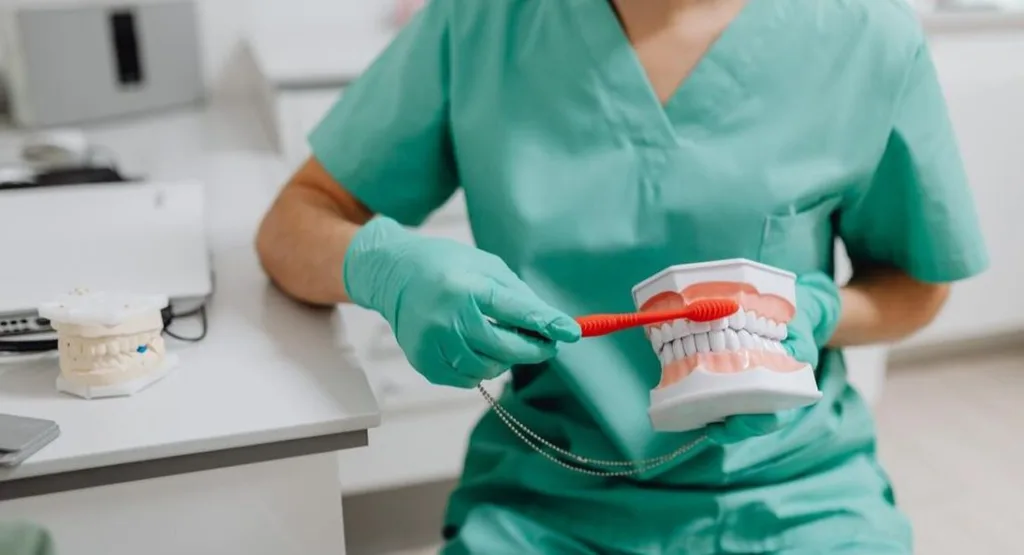 Dental assistant holding large toothbrush and large model of teeth